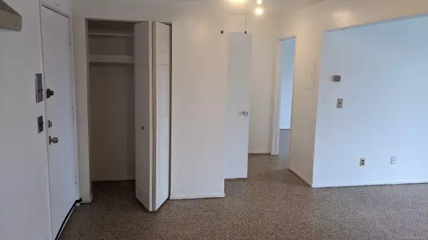 Detroit, MI 48207,1565 Cherboneau Place