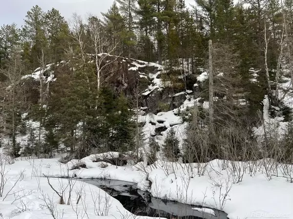 Champion, MI 49814,XXX County CV Road