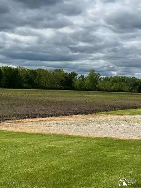Post Road, Newport, MI 48166