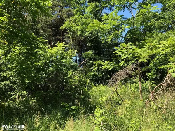 MI 48095,Vacant 31 Mile Rd Road
