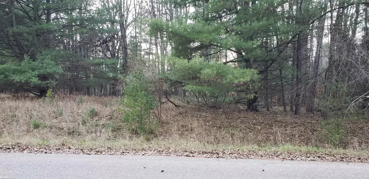 Gladwin, MI 48624,Robindale Way