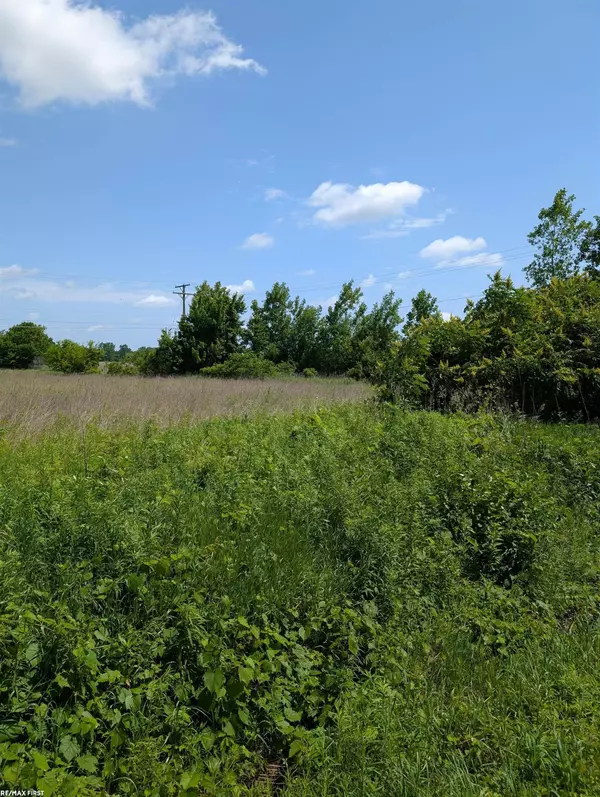 0 Dryden Road, Almont, MI 48003