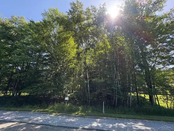 N Gleaner Rd, Saginaw, MI 48609