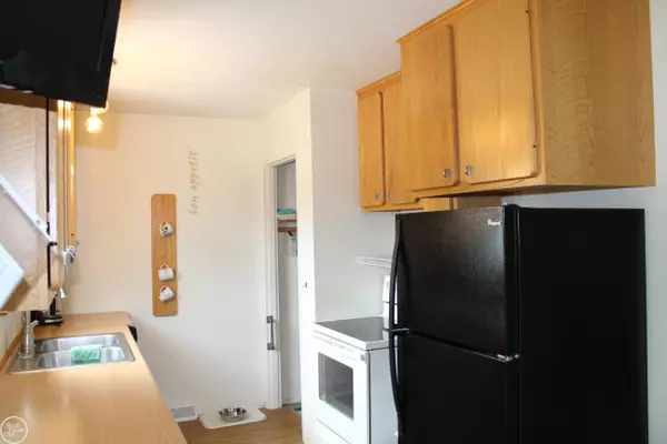 Big Rapids, MI 49307,517 Ives Avenue