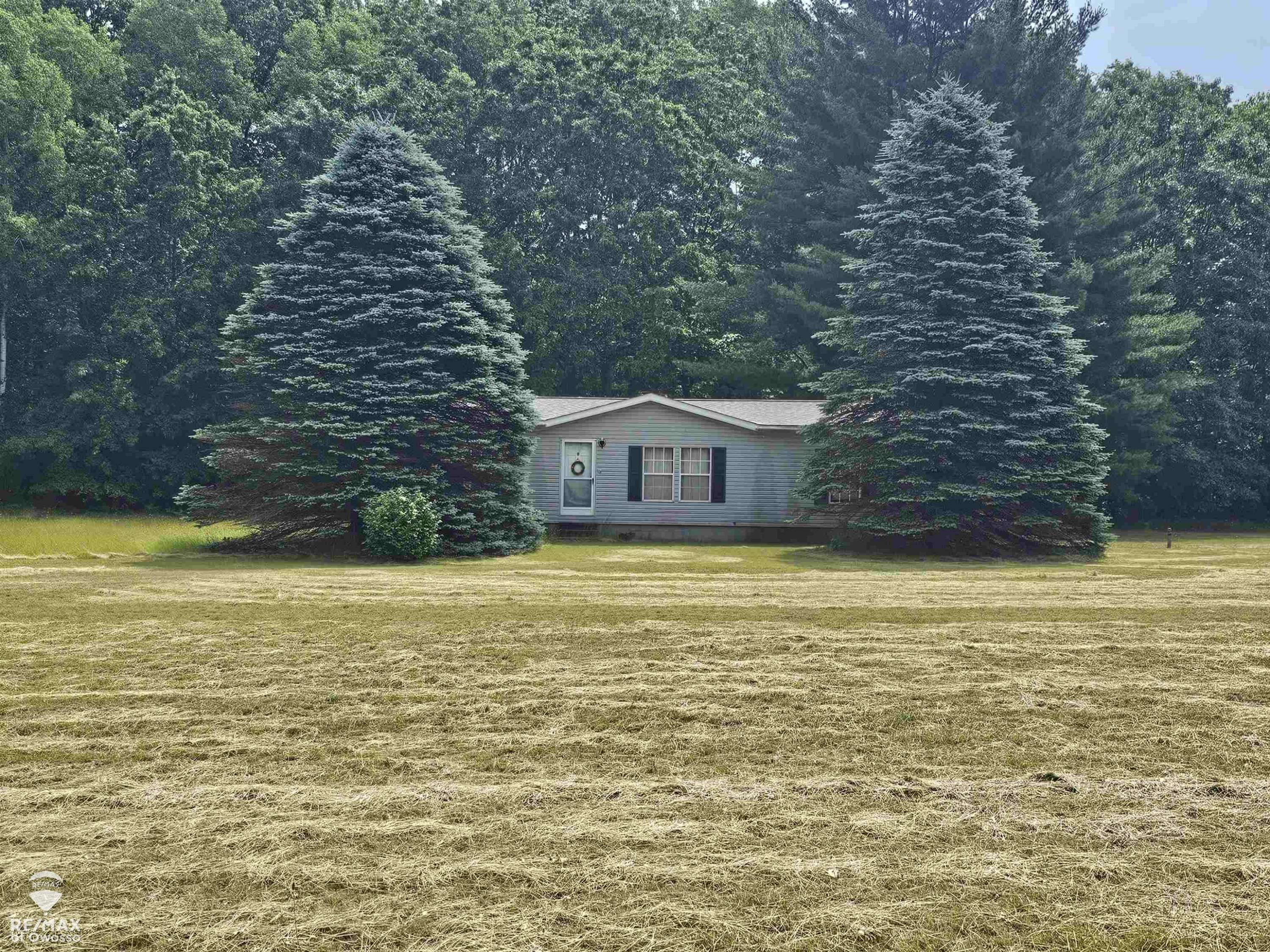 2789 Grass Lake Avenue, Clare, MI 48632