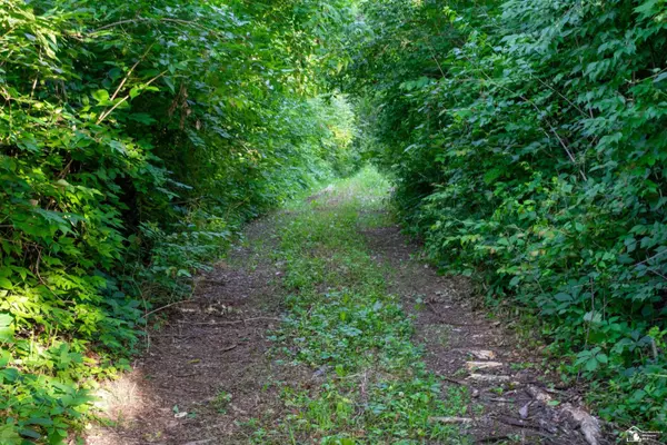 Carleton, MI 48117,Parcel C Timbers Road