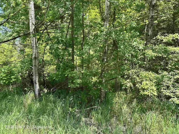 Beaverton, MI 48612,VL Pinconning Road