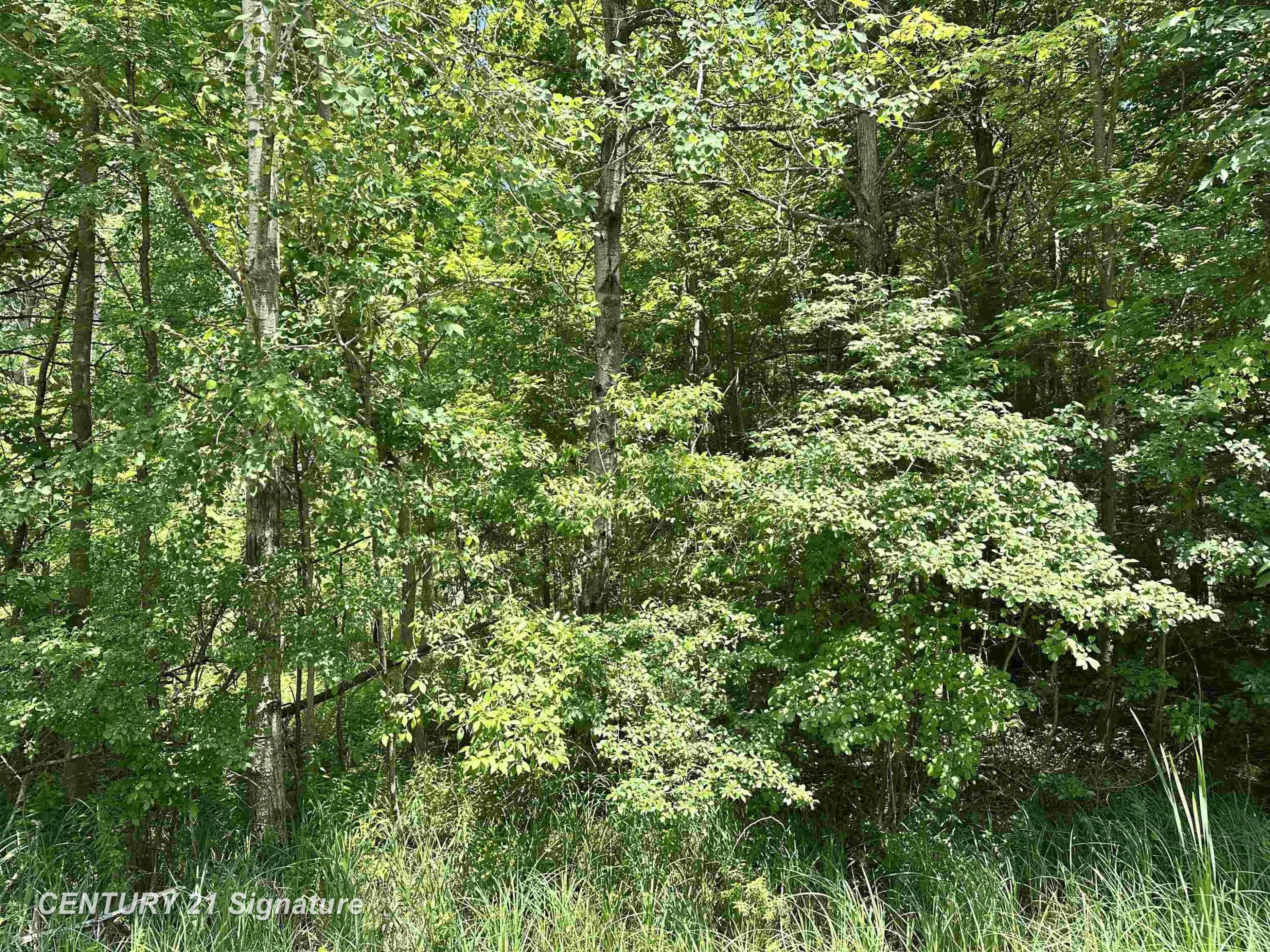 VL Pinconning Road, Beaverton, MI 48612
