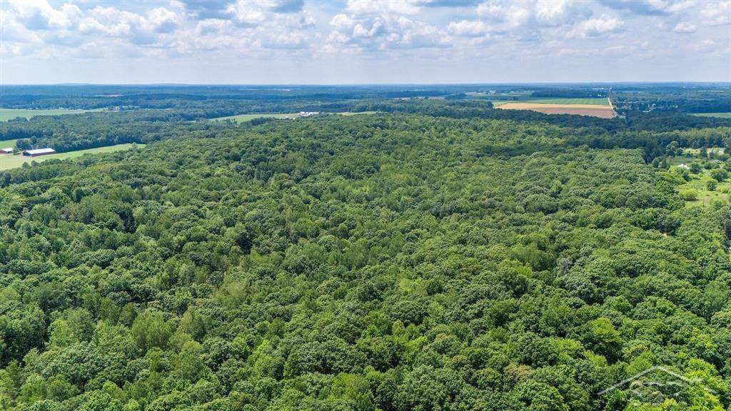 Vestaburg, MI 48891,10801 N Pine Grove Road