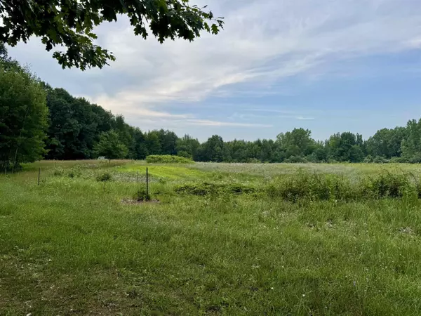 Otter Lake, MI 48464,9510 N Lake Road