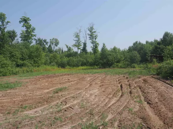 MI 49728,10680 S Salt Point Road