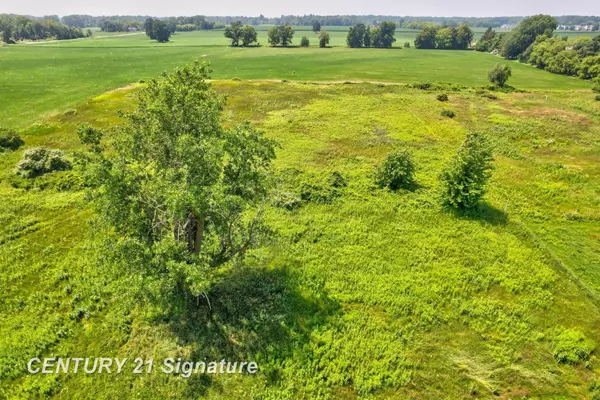 Freeland, MI 48623,V/L N River Road