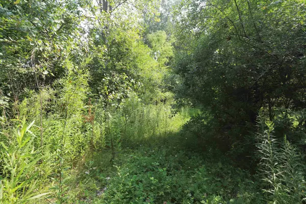 Flushing, MI 48433,Luce Road