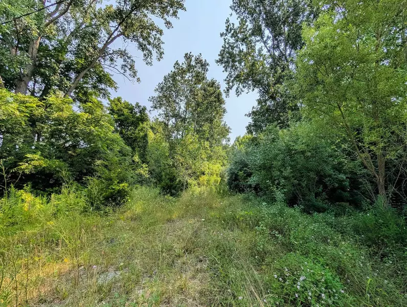 Luce Road, Flushing, MI 48433