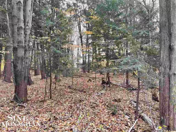 Marysville, MI 48040,V/L MICHIGAN Road