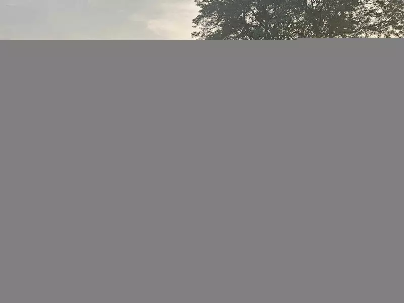 35279 Bristlecone Drive, Clinton Twp, MI 48035