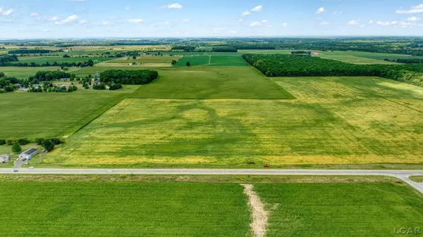 Adrian, MI 49221,5000 BLK LOT #1 S Adrian Highway