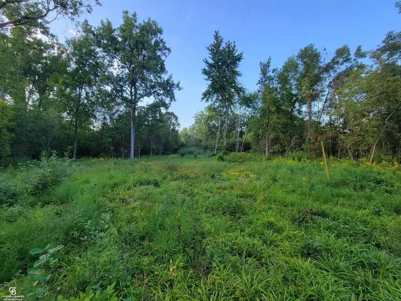 00 cherry Street, Avoca, MI 48006