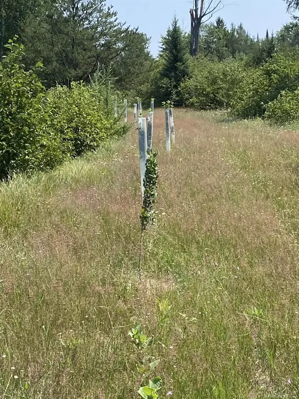 Alpena, MI 49707,4011 Sandall Road