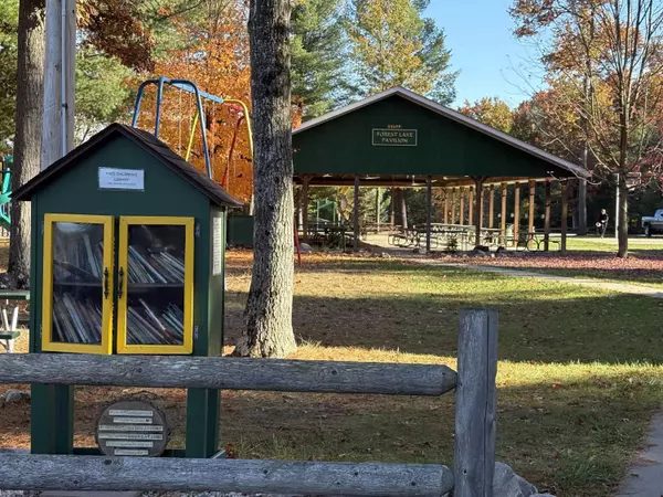 Alger, MI 48610,Lot 99 Wilderness Drive