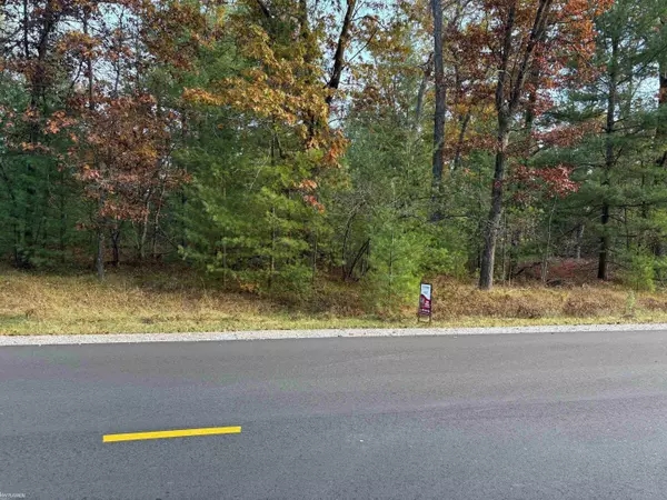 Alger, MI 48610,Lot 99 Wilderness Drive