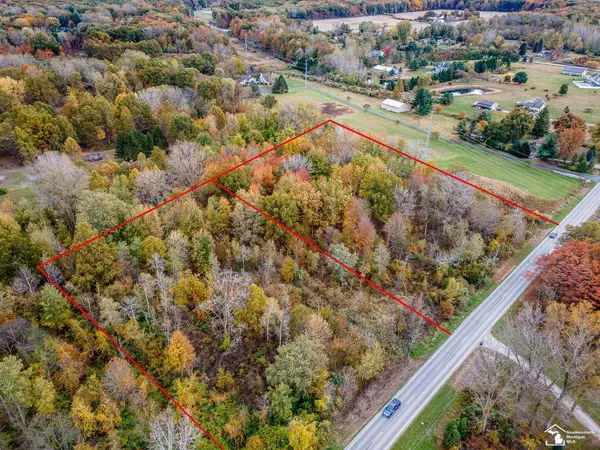 MI 49270,Parcel A Summerfield Road