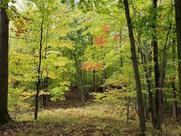 Taylor Road, Millington, MI 48746