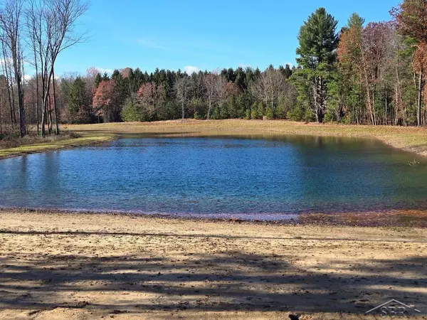 12465 Fergus Road, Saint Charles, MI 48655