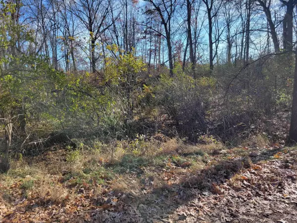 Jerome, MI 49249,9951 Southlawn Circle