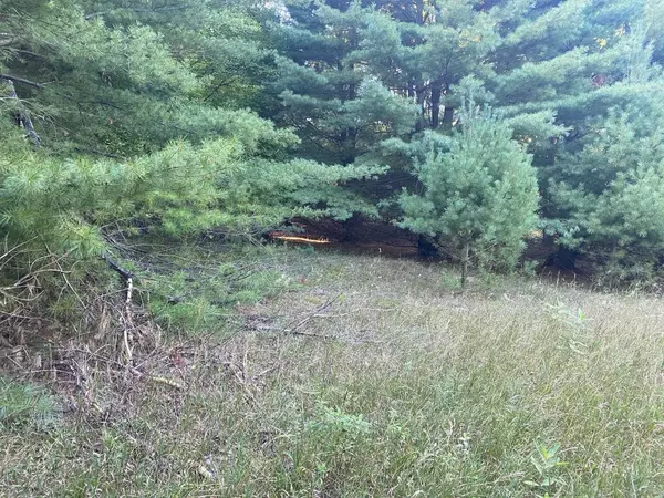 Evart, MI 49631,Allegheny Trail