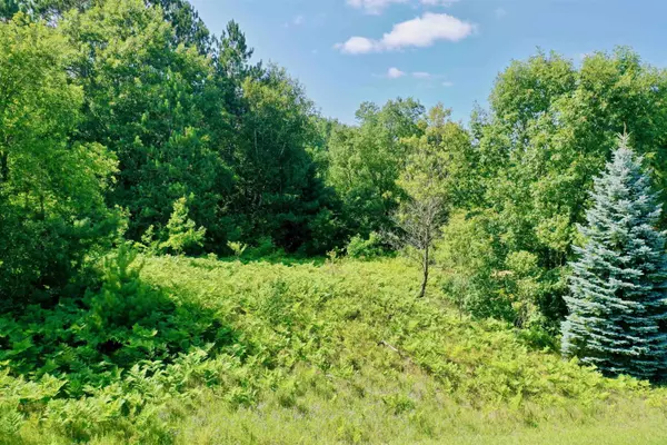 Cadillac, MI 49601,Lot 16 Windsong Lane