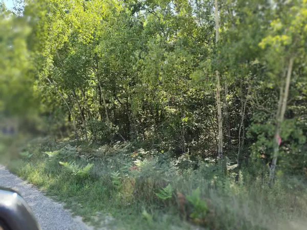 Farwell, MI 48622,Lot 8 N Circle E