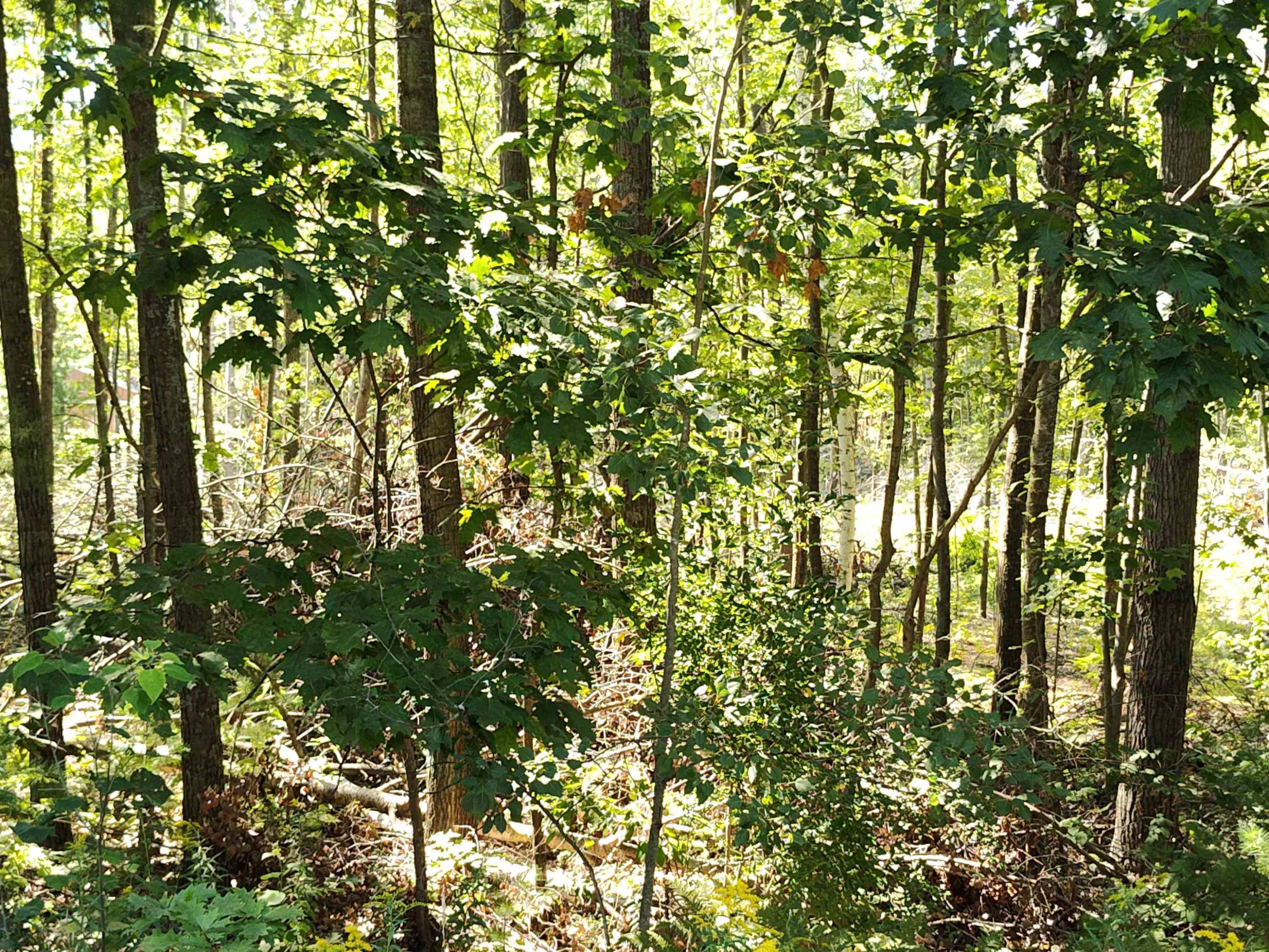 Farwell, MI 48622,Lot 12 N Circle E