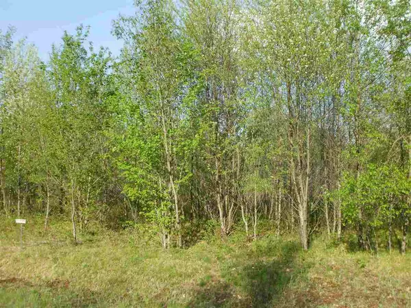 Cadillac, MI 49601,Lot 4 Spring Valley Drive