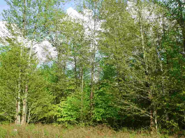 Cadillac, MI 49601,Lot 31 Spring Valley Drive