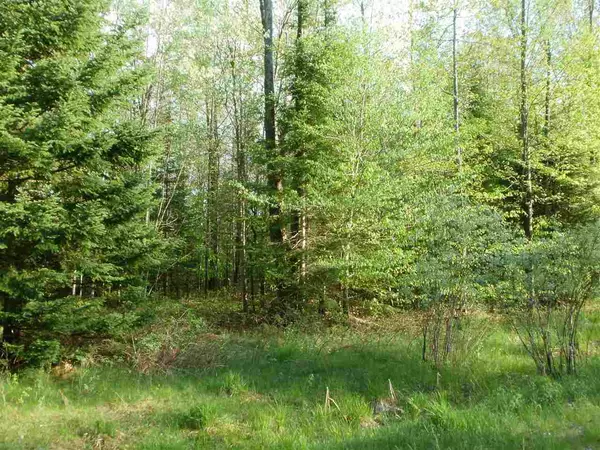 Cadillac, MI 49601,Lot 32 Spring Valley Drive
