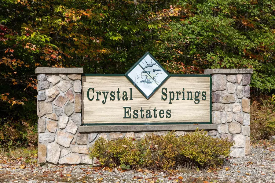 Lot 39 Spring Valley Drive, Cadillac, MI 49601