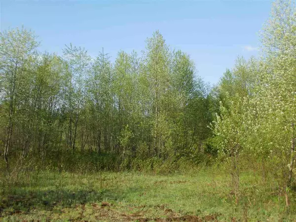 Cadillac, MI 49601,Lot 41 Spring Valley Drive