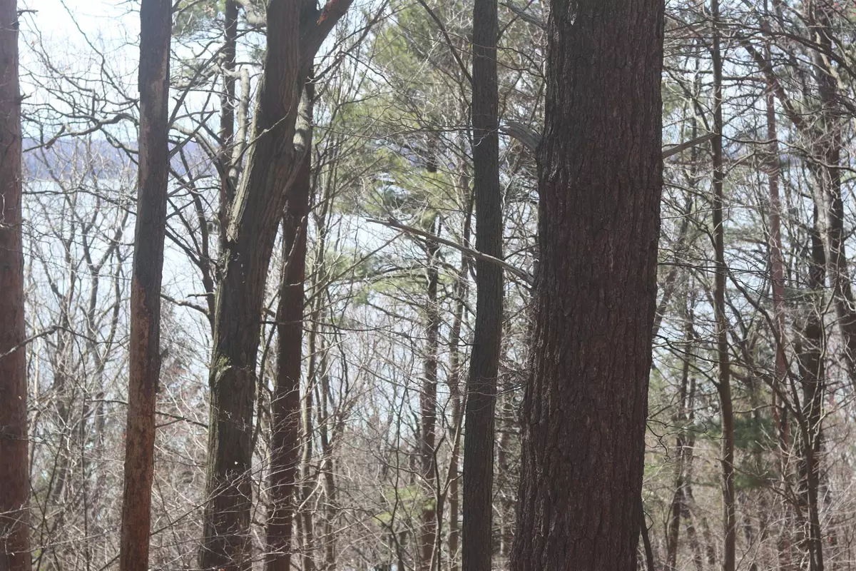 Beulah, MI 49617,lot 5 Crystal View