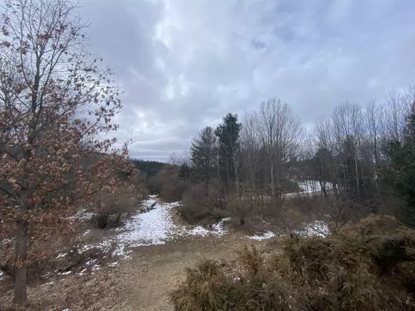 Williamsburg, MI 49690,lot 33 Scenic Hills