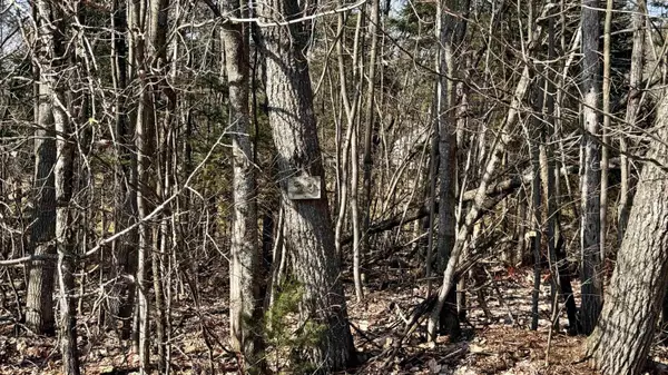 Cadillac, MI 49601,Lot 29 White Pine Drive