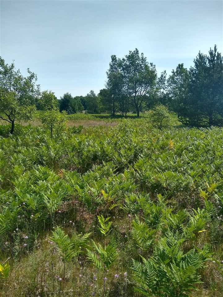 Mesick, MI 49668,00 Vista Valley Trail