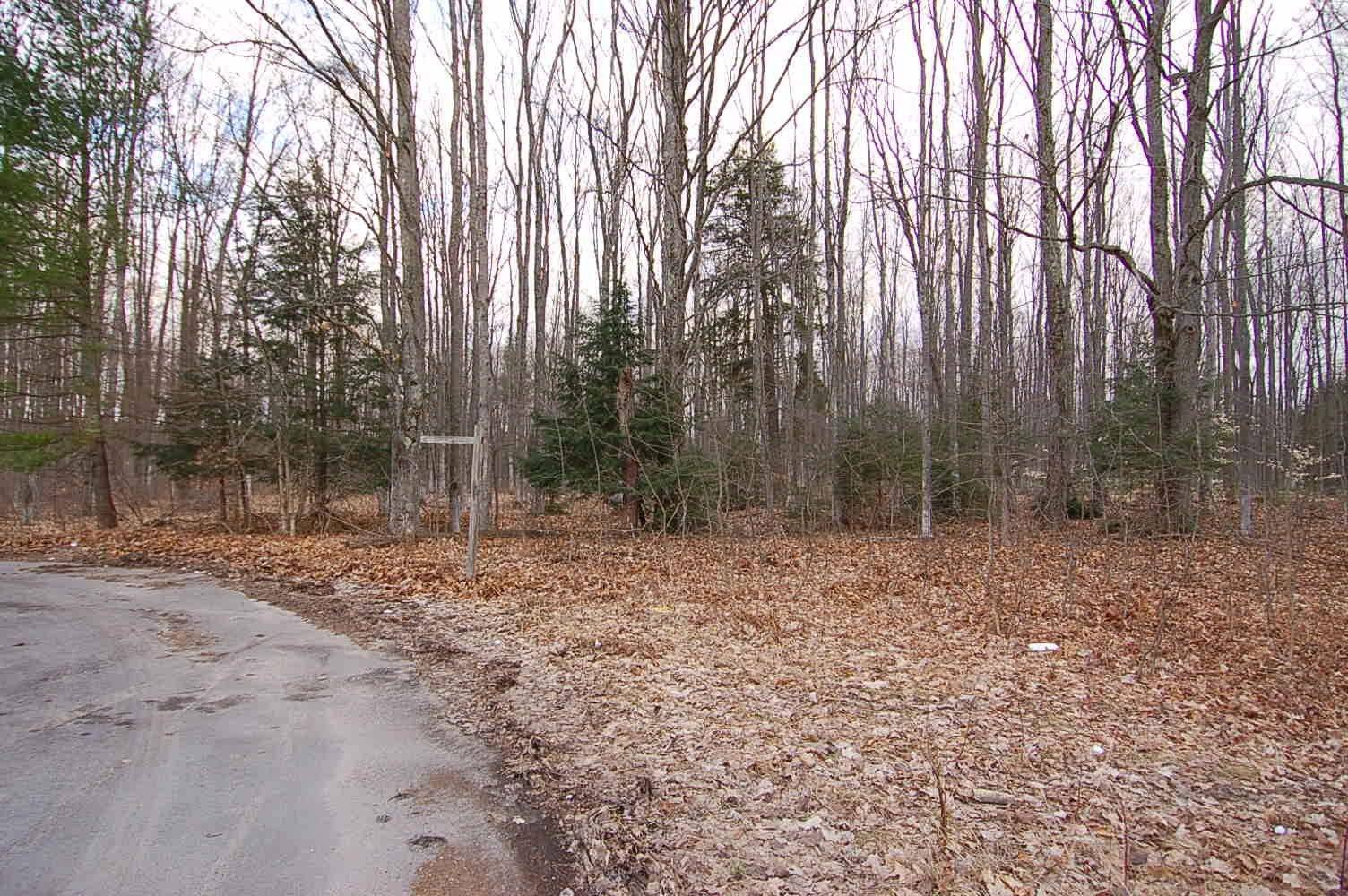 Buckley, MI 49620,130 Timber Lane