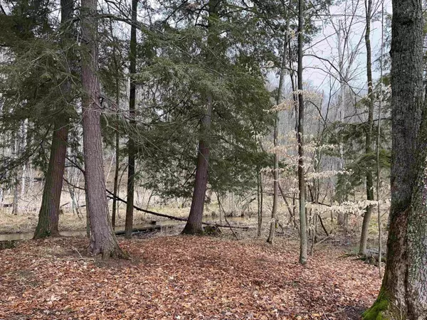 Wellston, MI 49689,M-55