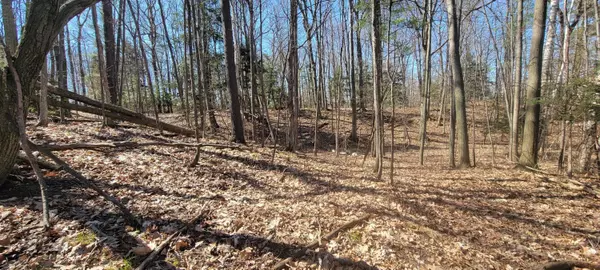 Traverse City, MI 49686,Lot 22 Wood View