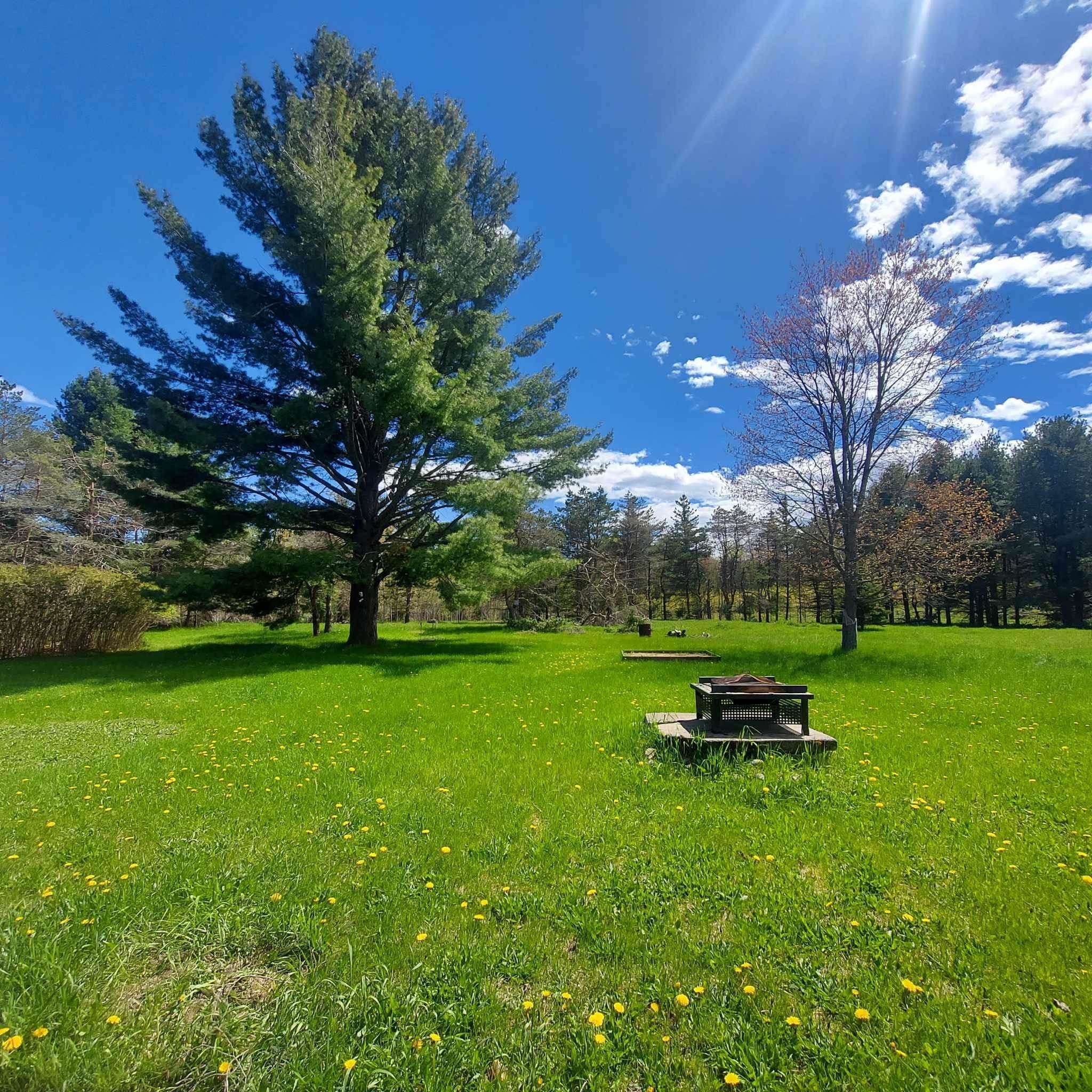 Spruce, MI,2330 E Roe Road