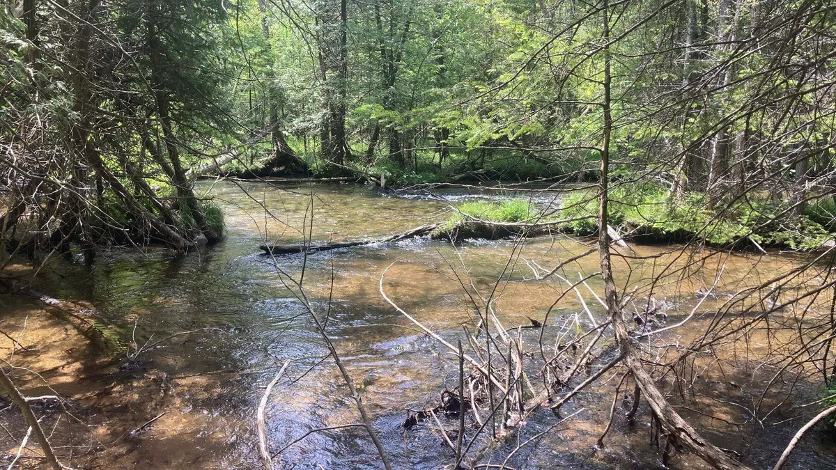 Kalkaska, MI 49676,Lot 6 Trosko Road