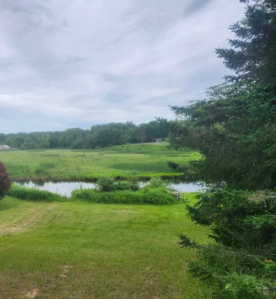 0 E State, Hale, MI 48739