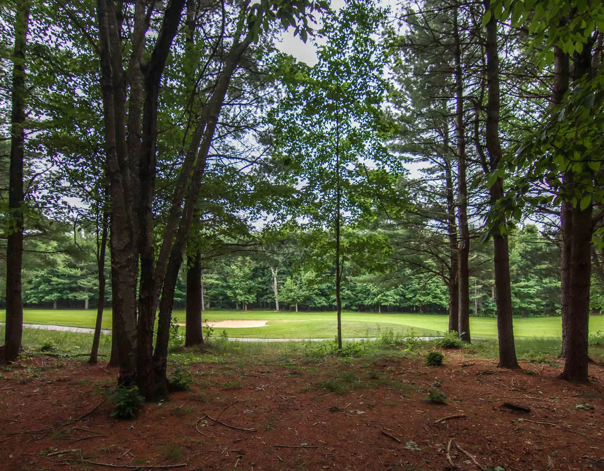 Thompsonville, MI 49683,0000-Unit 40 Trailside Drive