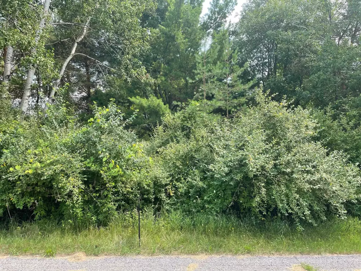 Weidman, MI 48893,1090 Carmen Drive